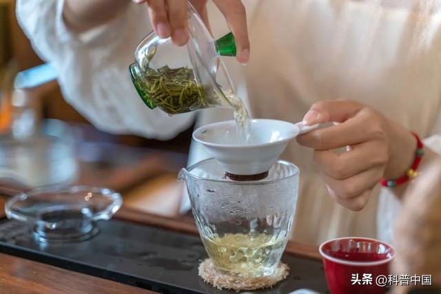最全的茶叶冲泡方法收藏起来吧（茶叶怎么泡才好喝）(6)