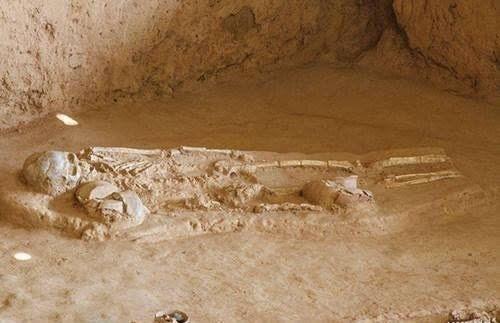 秦始皇陵武则天墓（陕西出土千年女帝武则天墓）(12)