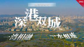 全面提升产业体系现代化水平（建设现代化产业体系）(2)