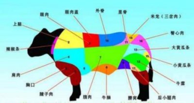 ​哪个部位的牛肉最好吃