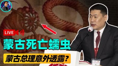 ​50米亚马逊巨蟒（沙漠巨蟒死亡蠕虫）