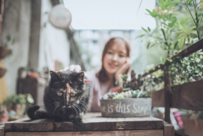 ​霸气超拽女神范的网名