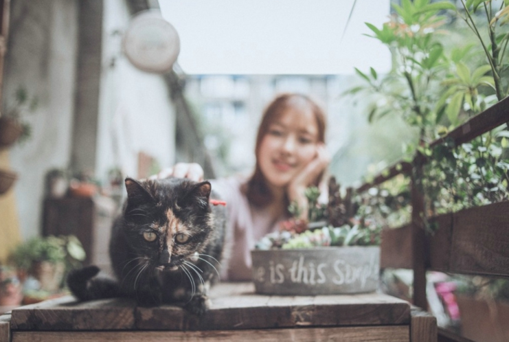 ​霸气超拽女神范的网名