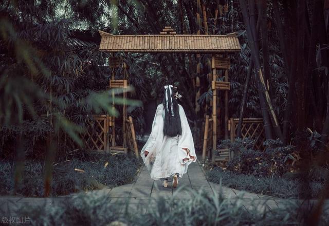 陶渊明采菊东篱下什么情感（陶渊明采菊东篱下）(1)