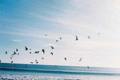 ​新婚古风祝福语45句