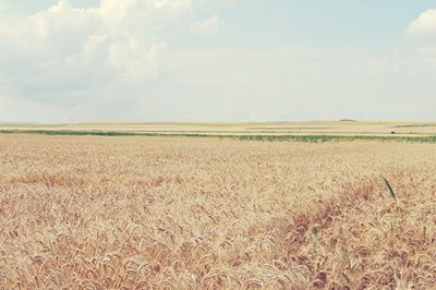 ​祝福朋友新婚的祝福语38句