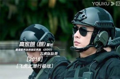 ​飞虎系列一共有几部