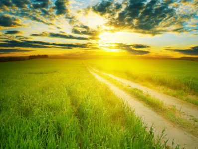 ​做自己的句子