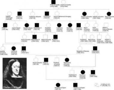 ​英国王室继承顺位图谱