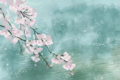 ​情深不寿慧极必伤的意思是什么