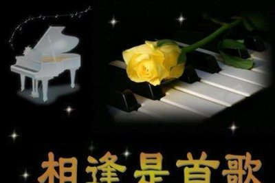 ​缘分让我们相遇，什么意思