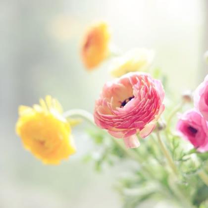 有深度有涵养的句子