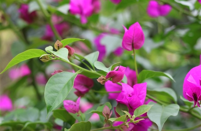 男人味十足的句子 男人味十足的句子