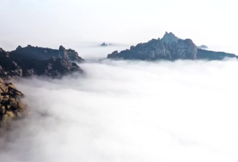 ​有涵养的骂人句子 东北人骂人经典句子