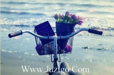 ​元宵节祝福语长辈的贺词