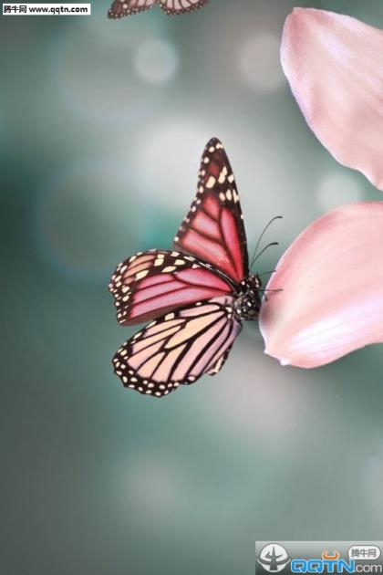 海王篇内十大经典台词