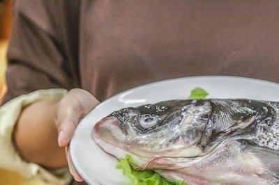 ​市场上卖的鱼头是什么鱼