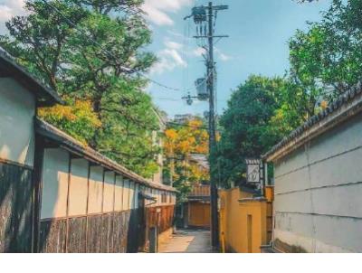 关于赞美夏天的句子