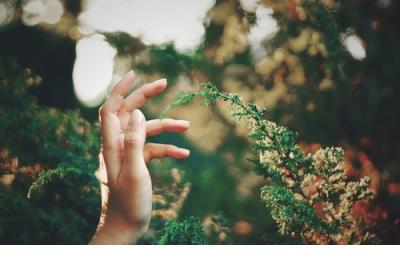 关于减肥的句子说说心情短语