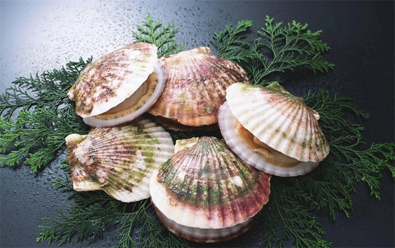 海鲜包括哪些食物(海鲜一般指的是什么)