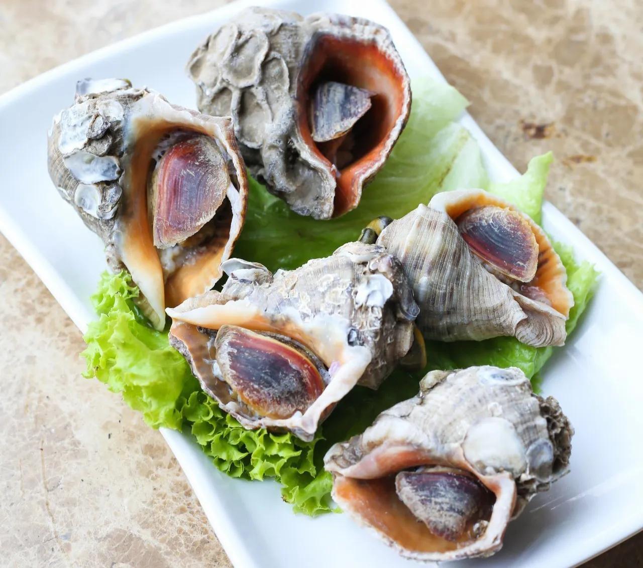 海鲜包括哪些食物(海鲜一般指的是什么)