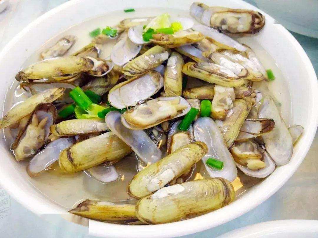 海鲜包括哪些食物(海鲜一般指的是什么)