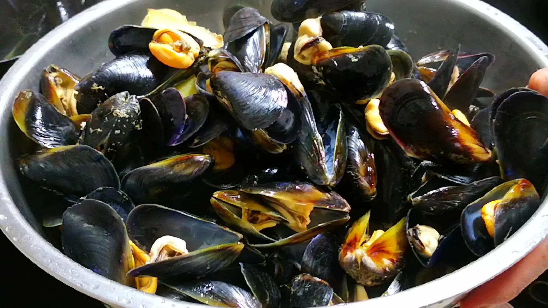 海鲜包括哪些食物(海鲜一般指的是什么)