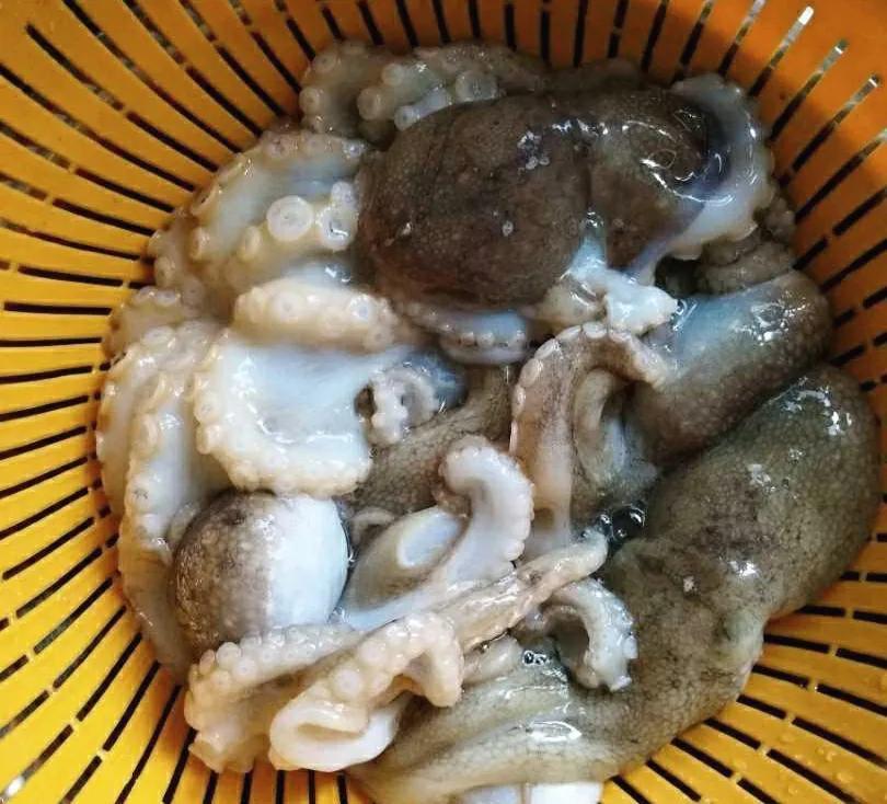 海鲜包括哪些食物(海鲜一般指的是什么)