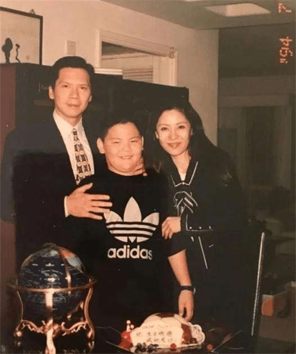 向佑是向太亲生的吗(向佑是丁佩所生)