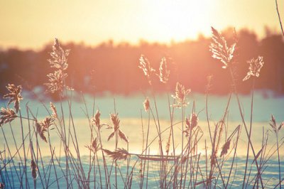 ​悲伤的句子83句