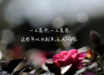 ​发朋友圈的精美句子 生活感悟 生活的无奈与艰辛句子