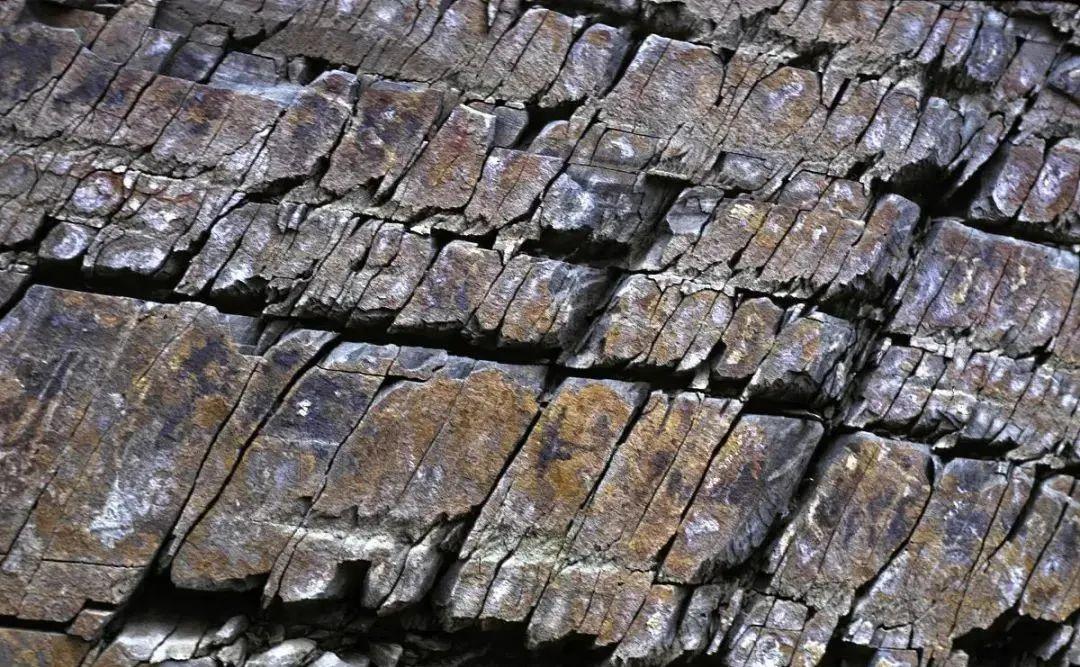 天然气怎么来的(我们用的天然气从哪里来的)