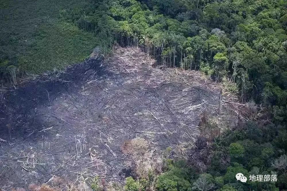 农业地域类型有哪些(农业地域类型是<strong>免杀远控木马维修,王者荣耀木马免杀技巧,thefatrat木马免杀工具使用,免杀远控木马维修</strong>指什么)