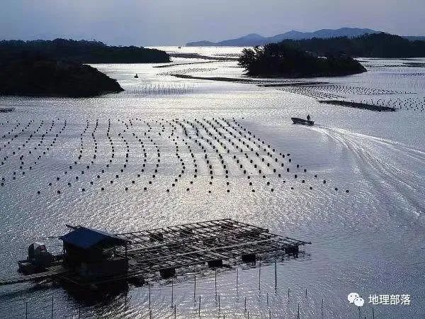 农业地域类型有哪些(农业地域类型是指什么)
