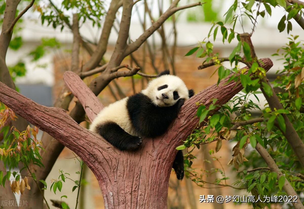 我国自然文化遗产有哪些(世界自然遗产审批条件)