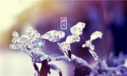 让人无语的个性签名