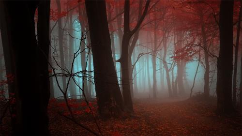 爱读书的优美句子