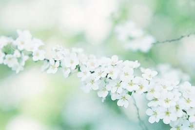 ​冬至祝福短信送朋友84句