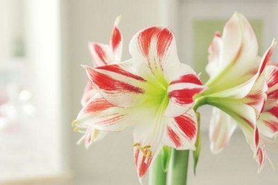 ​幼儿园教师节祝福语82句