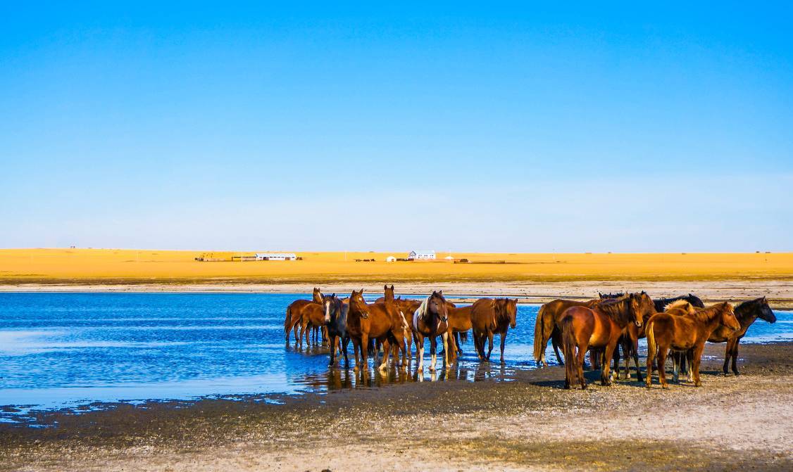 第三天：满洲里、贝尔湖-陈巴尔虎草原-贝尔草原-贝尔湖-贝尔湖-额尔古纳湿地-海拉尔大草原-陈巴尔虎旗-莫尔道嘎国家森林公园--额尔古纳湿地-贝尔湖-贝尔湖-贝尔湖-海拉尔国家森林公园