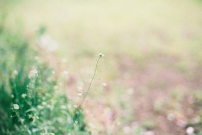 ​关于幸福的句子88句