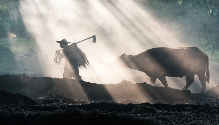 也傍桑阴学种瓜的上一句