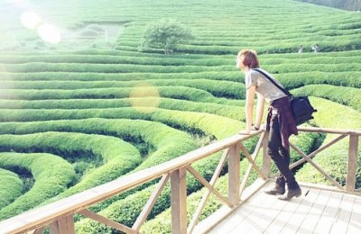 ​结婚英文句子