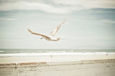 ​忧伤抒情的句子100句