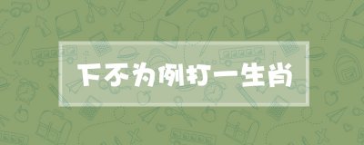 ​下不为例打一生肖
