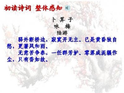 ​卜算子怎么读（卜算子的释义）