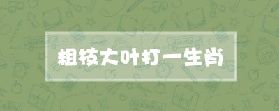 ​粗枝大叶打一生肖