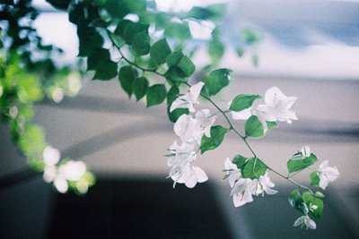 ​同学祝福语简短83句