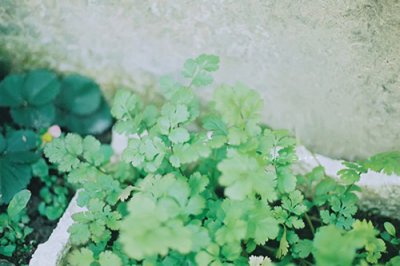 ​唯美简单的句子繁体字(118句)