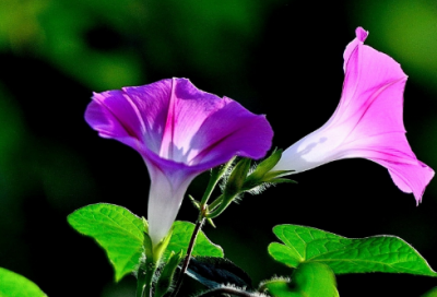 ​送高考学子上大学祝福语(精选148句)